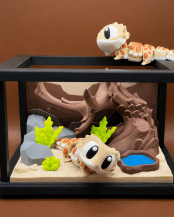 Bartagamen-Terrarium